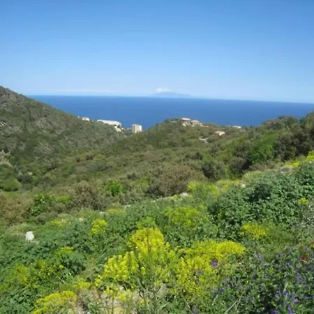 Lejlighed Bel Avec Vue Mer/ Hauteurs De Bastia *